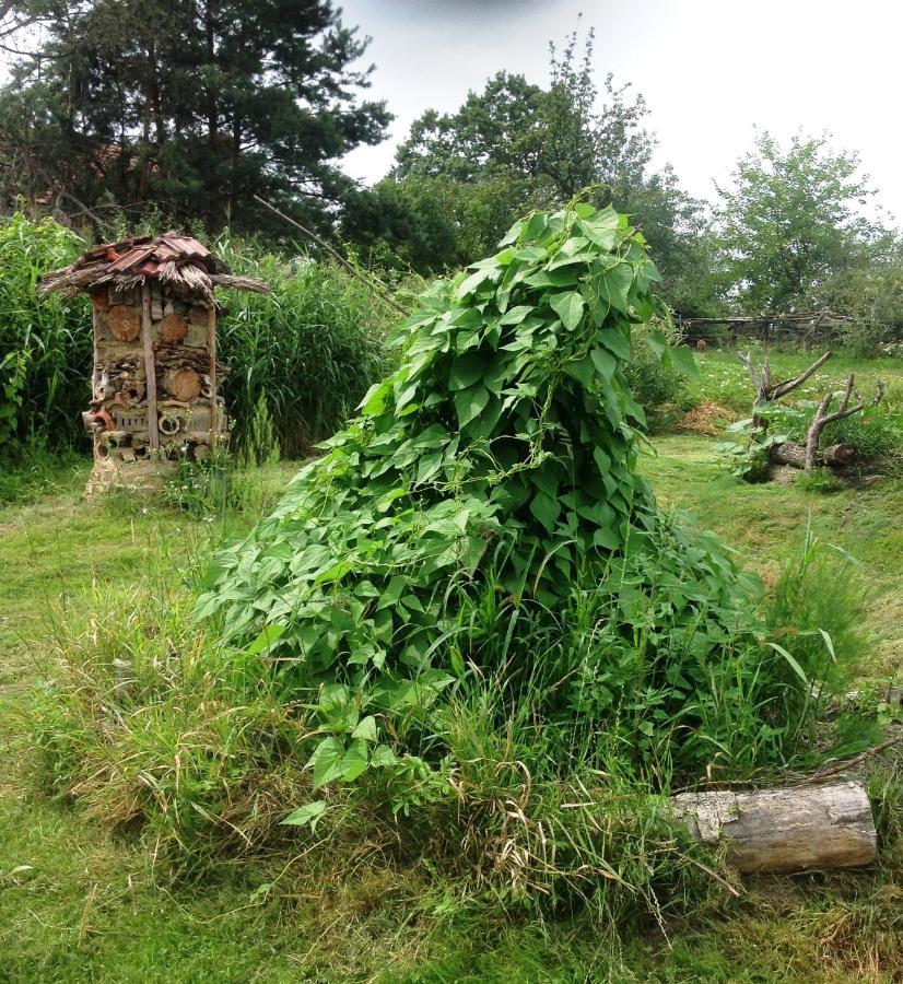 Biohof Am Turawa-See Szczedrzyk Exteriér fotografie