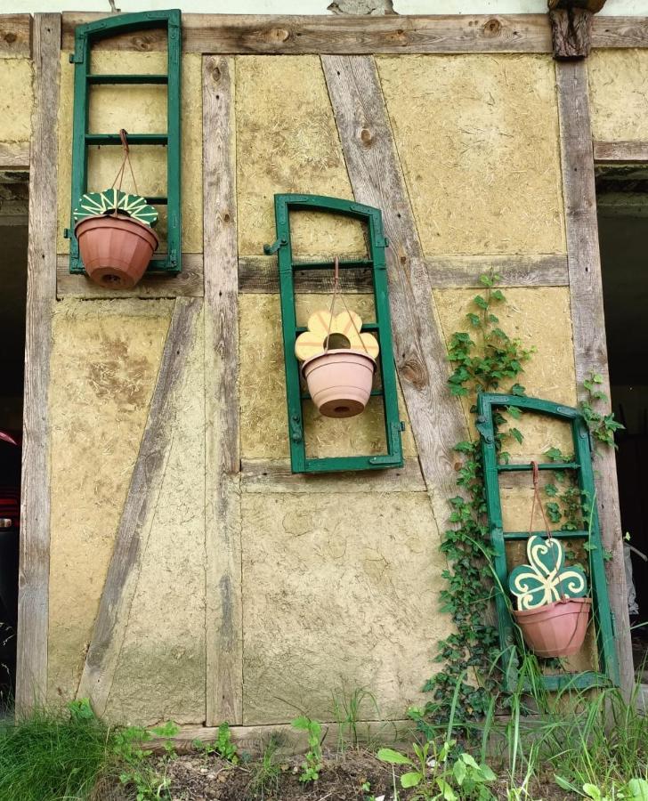 Biohof Am Turawa-See Szczedrzyk Exteriér fotografie